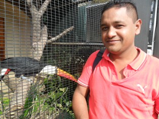 Montecasino Bird Gardens 2 Montecasino Bird Gardens 2